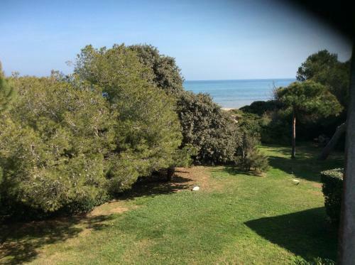 Apartamento Entre Mer Et Piscine