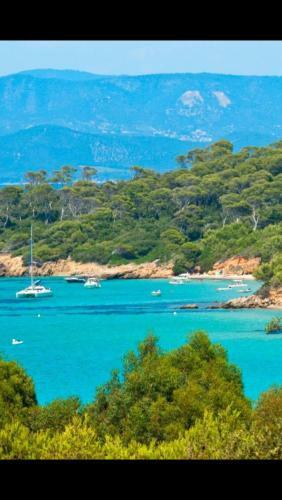 Apartamento Entre Mer Et Piscine