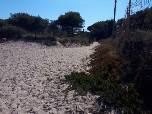 Apartamento � Salins