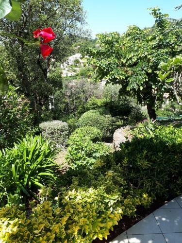 Apartamento Appartements Dans Villa En Rez de Jardin