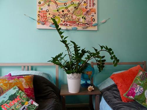 Hostal Simple Life In Provence