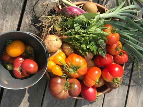 Hostal Simple Life In Provence