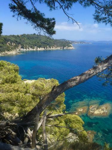 Hostal Simple Life In Provence