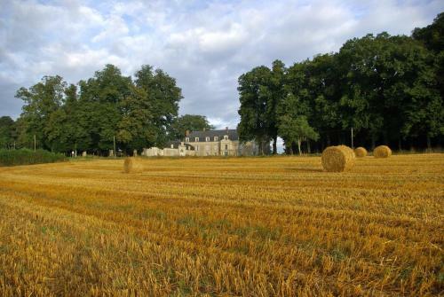 Chateau De Piedouault