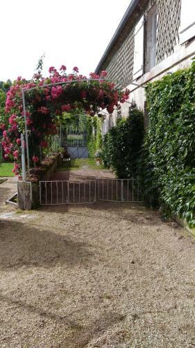 Le Gu� Renard-un Balcon Sur La Charente