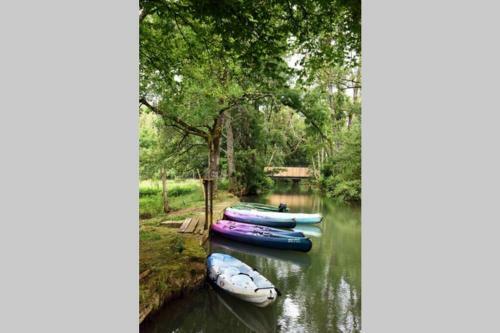 Moulin Dans Un Parc D?�levage � Daims