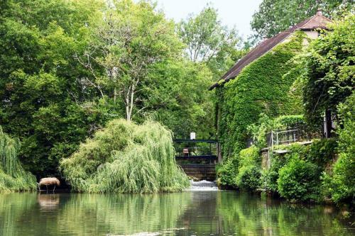 Moulin Dans Un Parc D?�levage � Daims