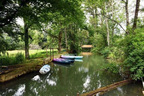 Moulin Dans Un Parc D?�levage � Daims