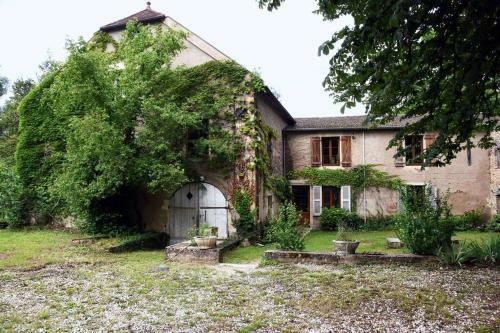 Moulin Dans Un Parc D?�levage � Daims