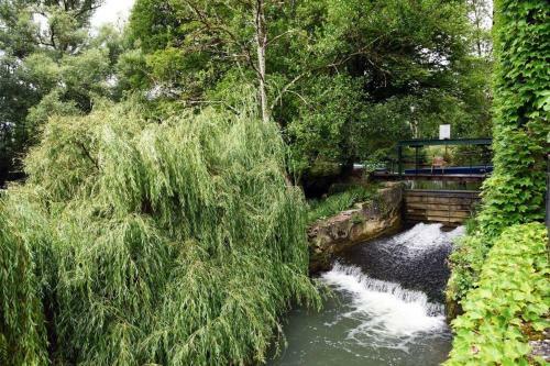 Moulin Dans Un Parc D?�levage � Daims