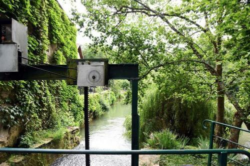 Moulin Dans Un Parc D?�levage � Daims