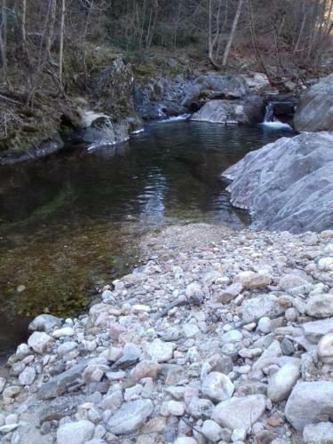 Mon Petit Paradis