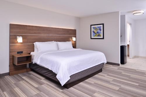Holiday Inn Express Hotel & Suites Elgin