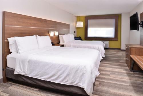 Holiday Inn Express Hotel & Suites Elgin