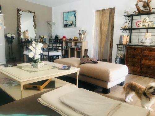 Apartamentos Appartement Solenzara