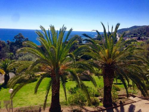 Apartamentos Appartement Solenzara