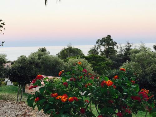 Apartamentos Appartement Solenzara