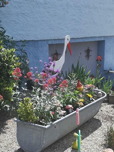 Apartamento G�te Les Chiwawas D'alsace