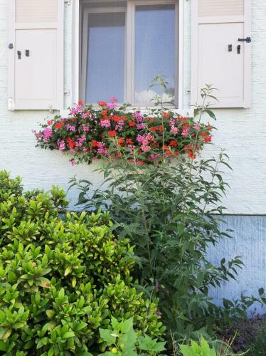 Apartamento G�te Les Chiwawas D'alsace