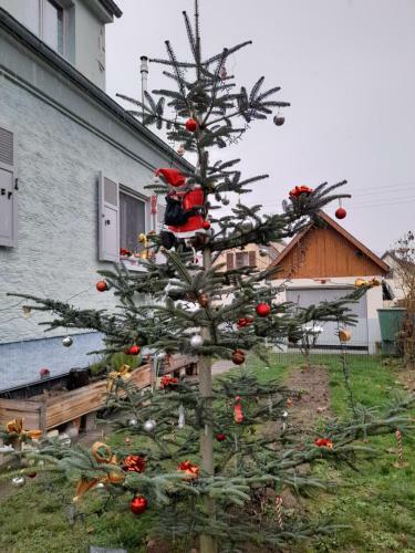 Apartamento G�te Les Chiwawas D'alsace