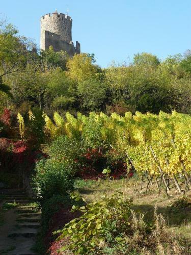Hotel Les Remparts
