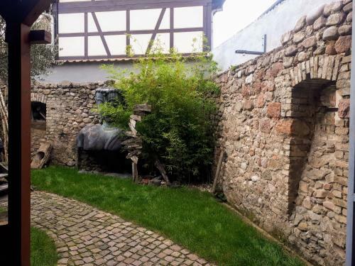 Apartamentos Naova Cosy Studio