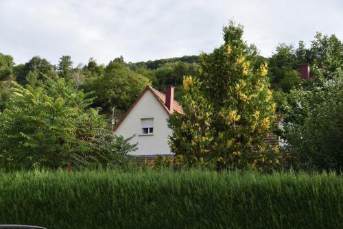 Le Cerisier