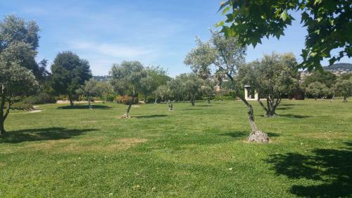 Apartamento Domaine Juan Flore