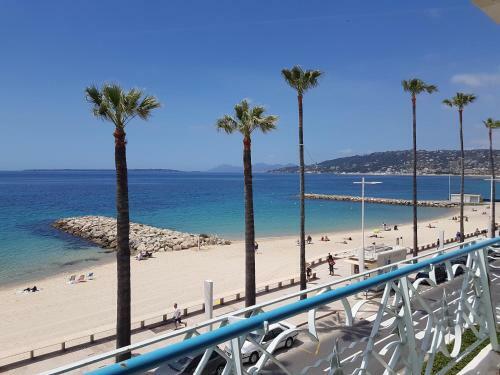 Apartamento 2 Pi�ces Terrasse En Front De Mer