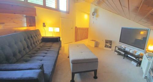 5-br Skylit Contemporary Home On 3 Forested Acres