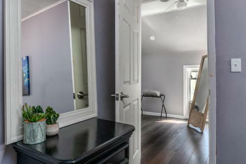 Modern & Updated Apartment In Heart Of Buffalo