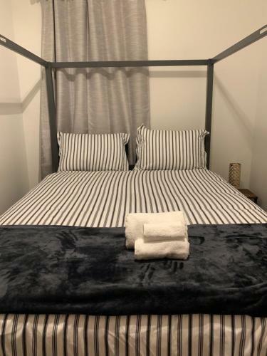 Charming Two Bedroom Apartment In Bushwick!