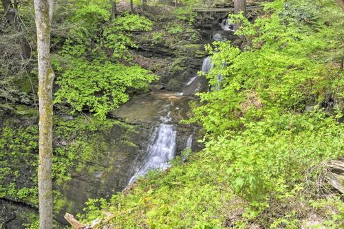 Cozy Couples Cabin Hike, Dine, Fish, And More!