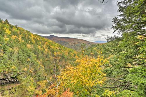 Catskills Home Near Skiing - Best Of Both Worlds!