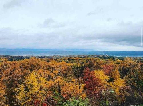 Happy Minnewaska- Welcome Home