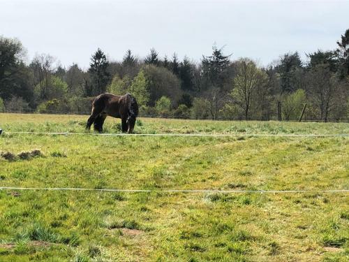 Bed & Breakfast Manoir De Botcol