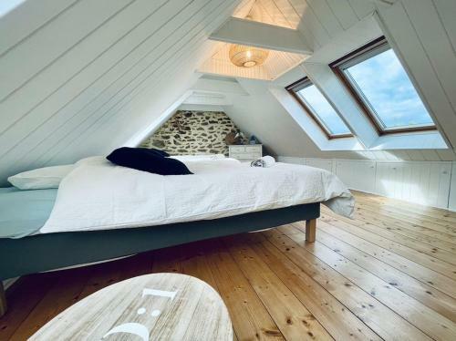 Maison Maillots Et Bigorneaux, 19 Pers, Jacuzzi, 40m de La Mer