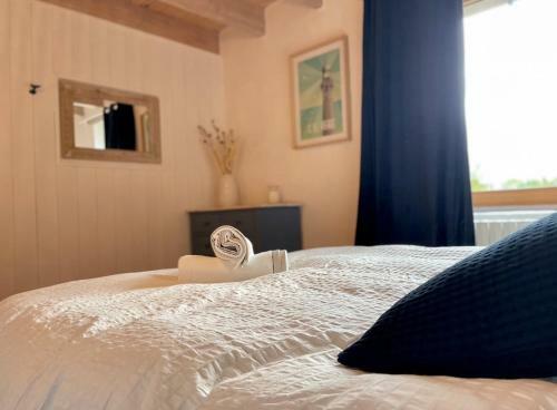 Maison Maillots Et Bigorneaux, 19 Pers, Jacuzzi, 40m de La Mer