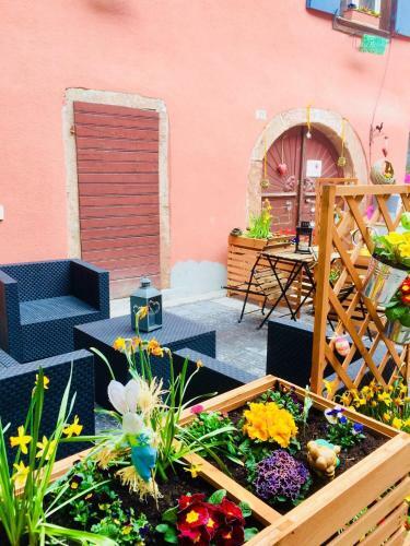 G�te Chez "mamie Schlop"
