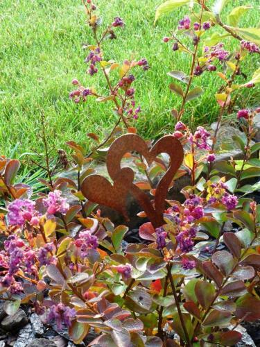 Bed & Breakfast L?�t� En Novembre