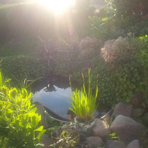 Apartamentos Gite Loredana