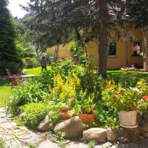 Apartamentos Gite Loredana