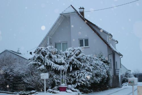 Bed & Breakfast Chambre D'h�tes Le Lavandin
