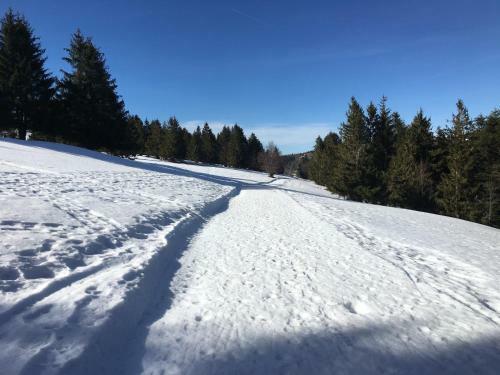 Hostal Chambres D'h�tes Des Cascades St-nicolas