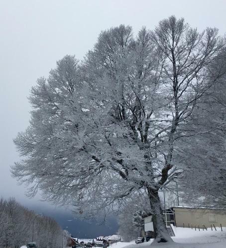 Hostal Chambres D'h�tes Des Cascades St-nicolas