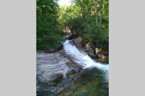 Apartamento L'or�e Des Bois de Freyssenet / Labastide/besorgue