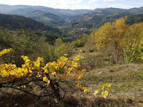 Le Bosc