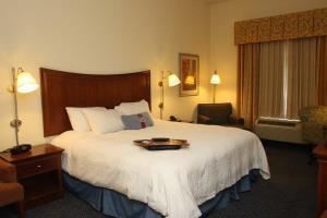 Hotel Hampton Inn Pine Grove