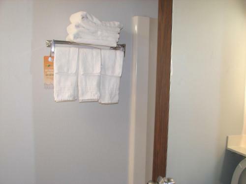 Hotel Howard Johnson Lexington