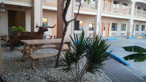 Casa Rosa Motel